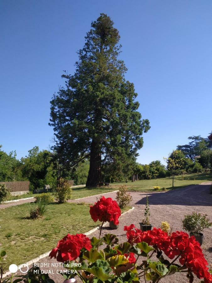 Le Manoir Sequoia Hotel Airvault ภายนอก รูปภาพ